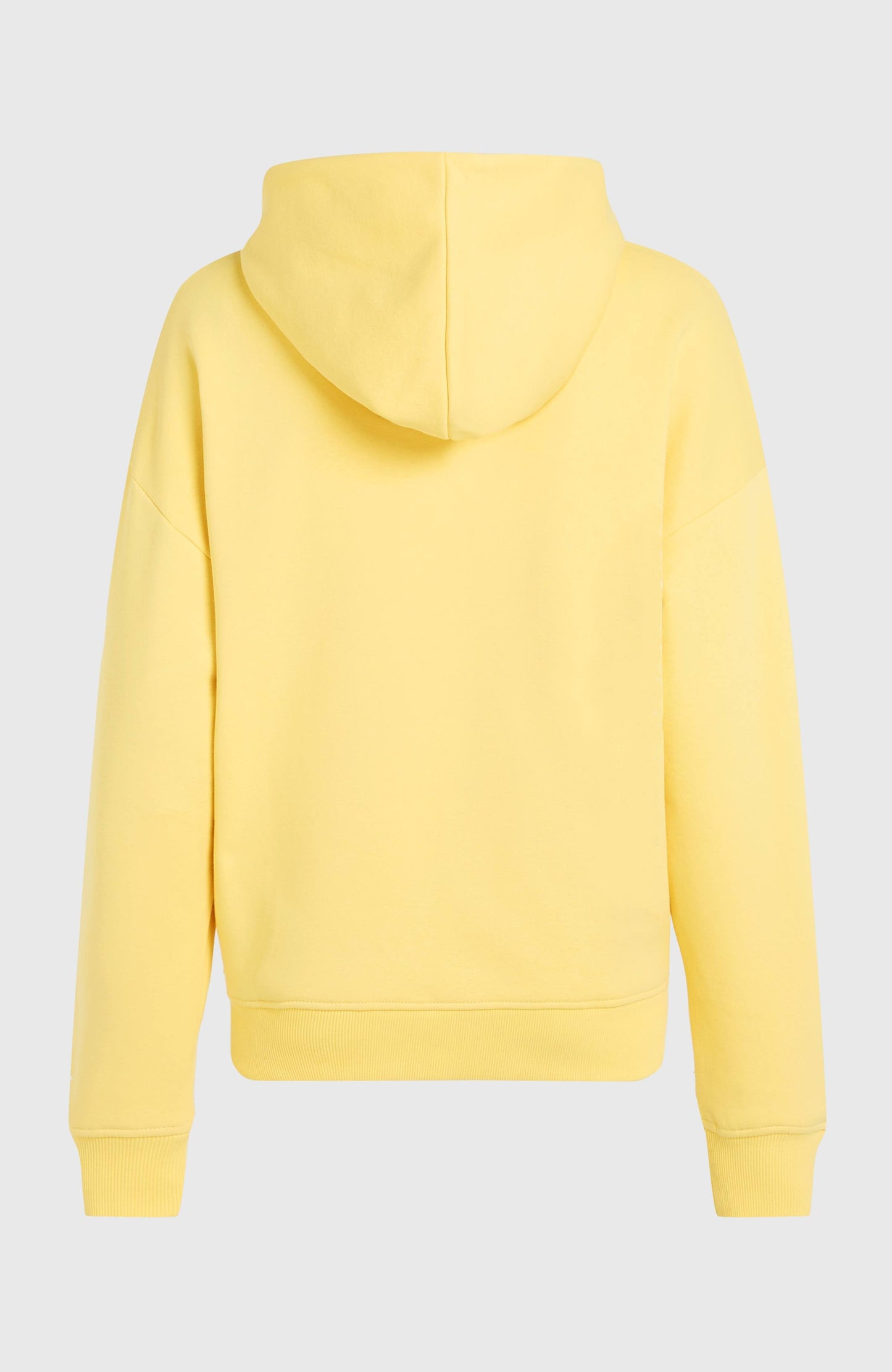 Women Future Surf Society Hoodie