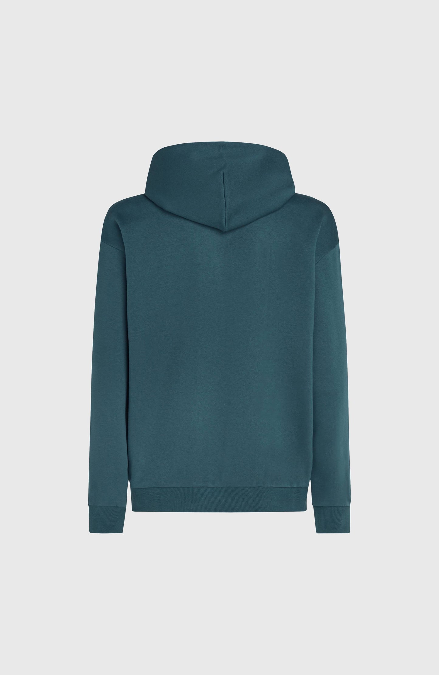 Men Future Surf Society Hoodie