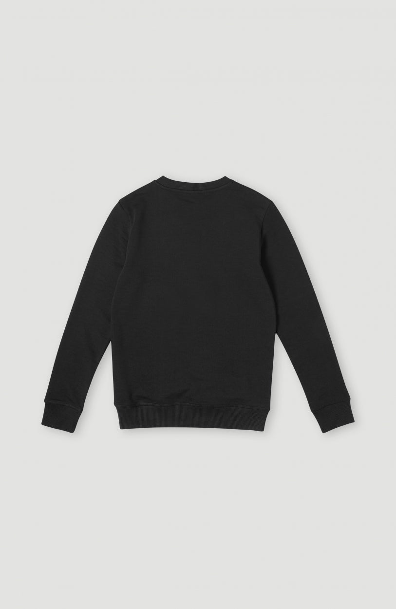 Kids O'Neill Logo Crew Sweatshirt