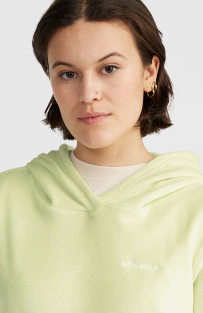 Women Velour Hoodie Fleece