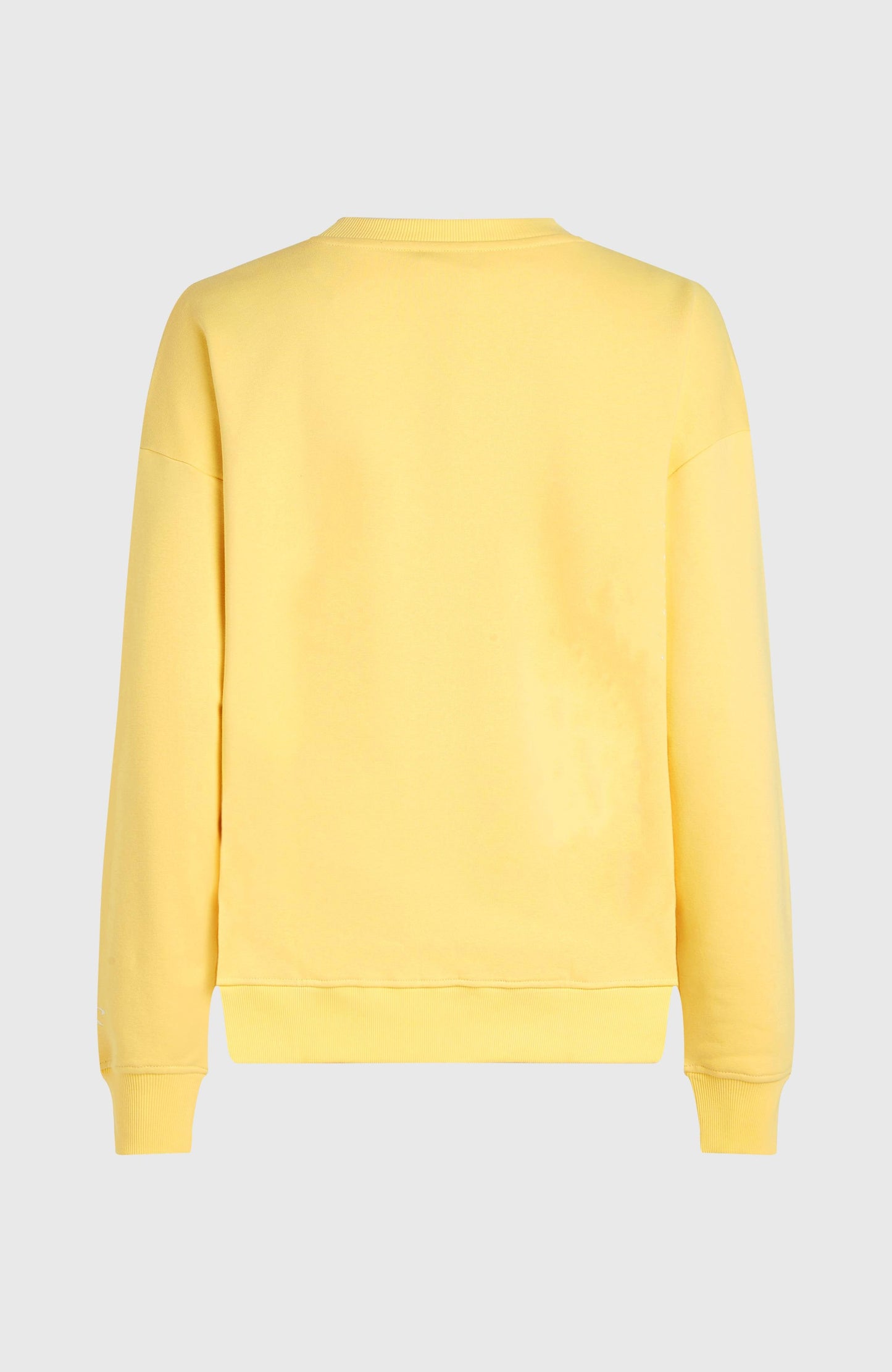 Women Future Surf Crew Sweatshirt