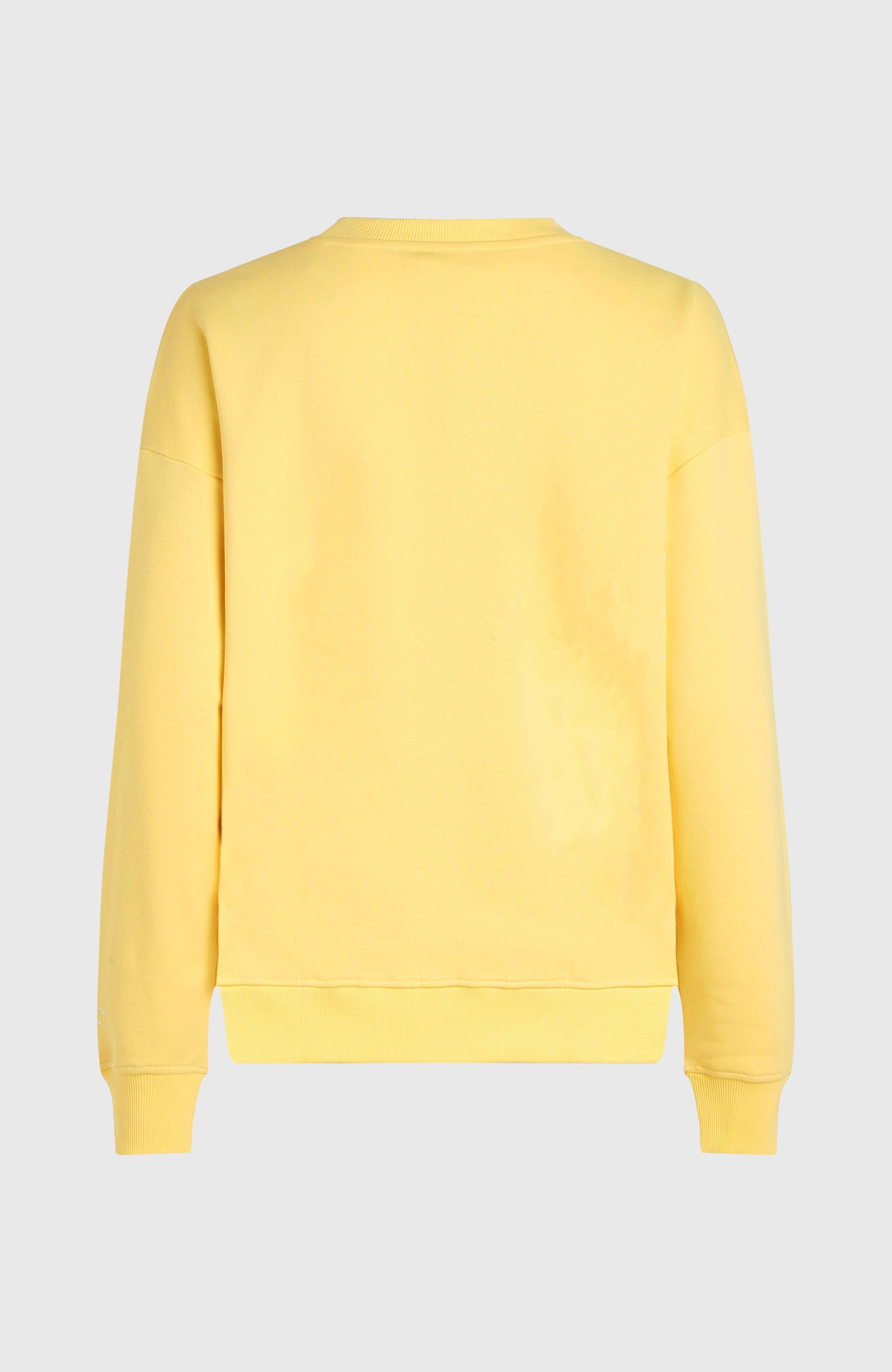 Women Future Surf Crew Sweatshirt