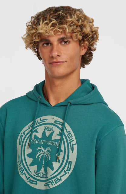 Men O'Neill Must-Have Graphic Hoodie