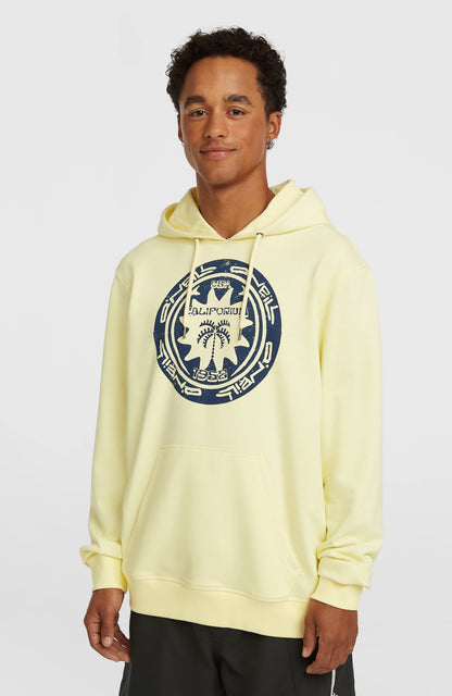 Men O'Neill Must-Have Graphic Hoodie
