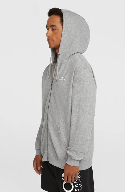 Men Small Logo Full-Zip Hoodie