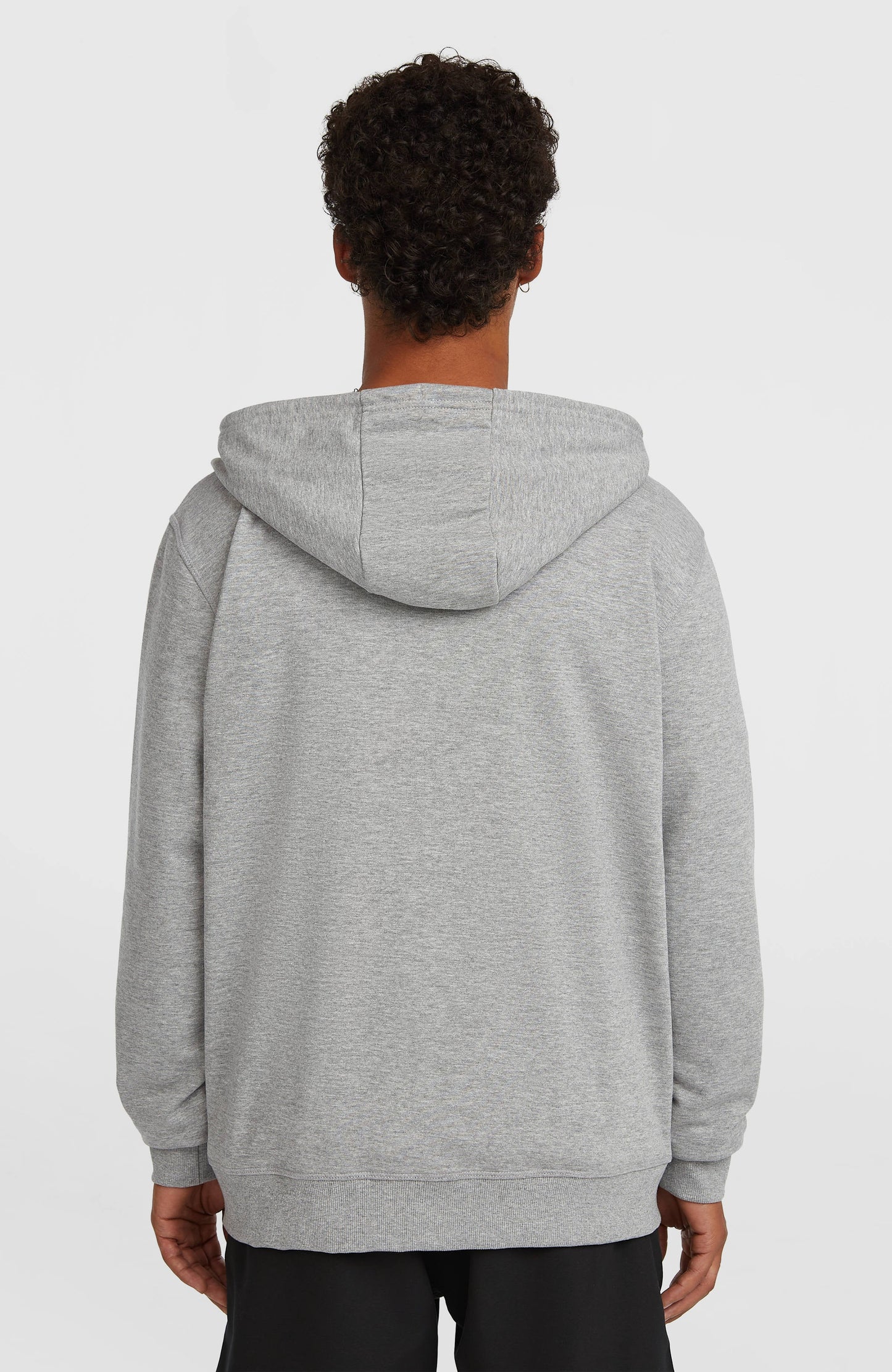 Men Small Logo Full-Zip Hoodie