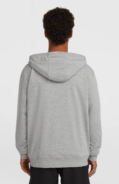 Men Small Logo Full-Zip Hoodie