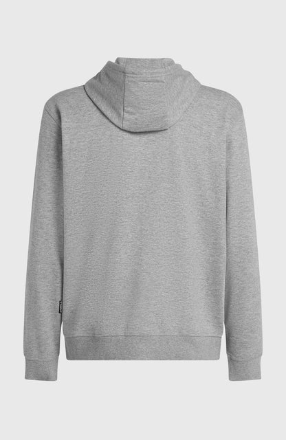 Men Small Logo Full-Zip Hoodie