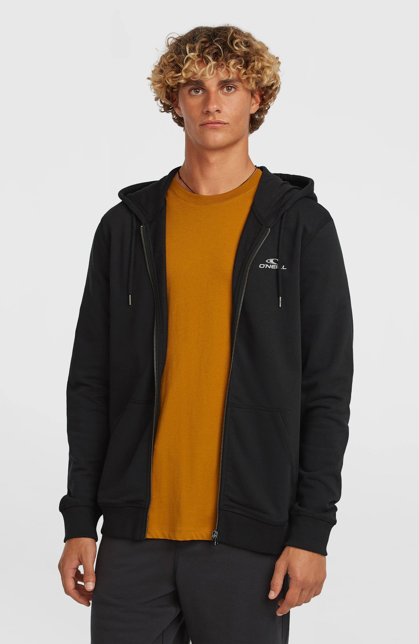 Men Small Logo Full-Zip Hoodie