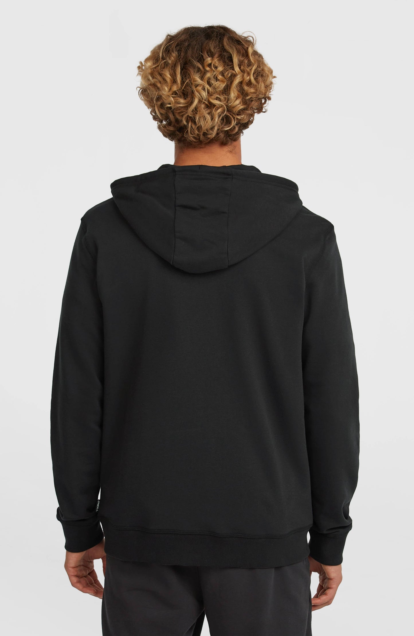 Men Small Logo Full-Zip Hoodie