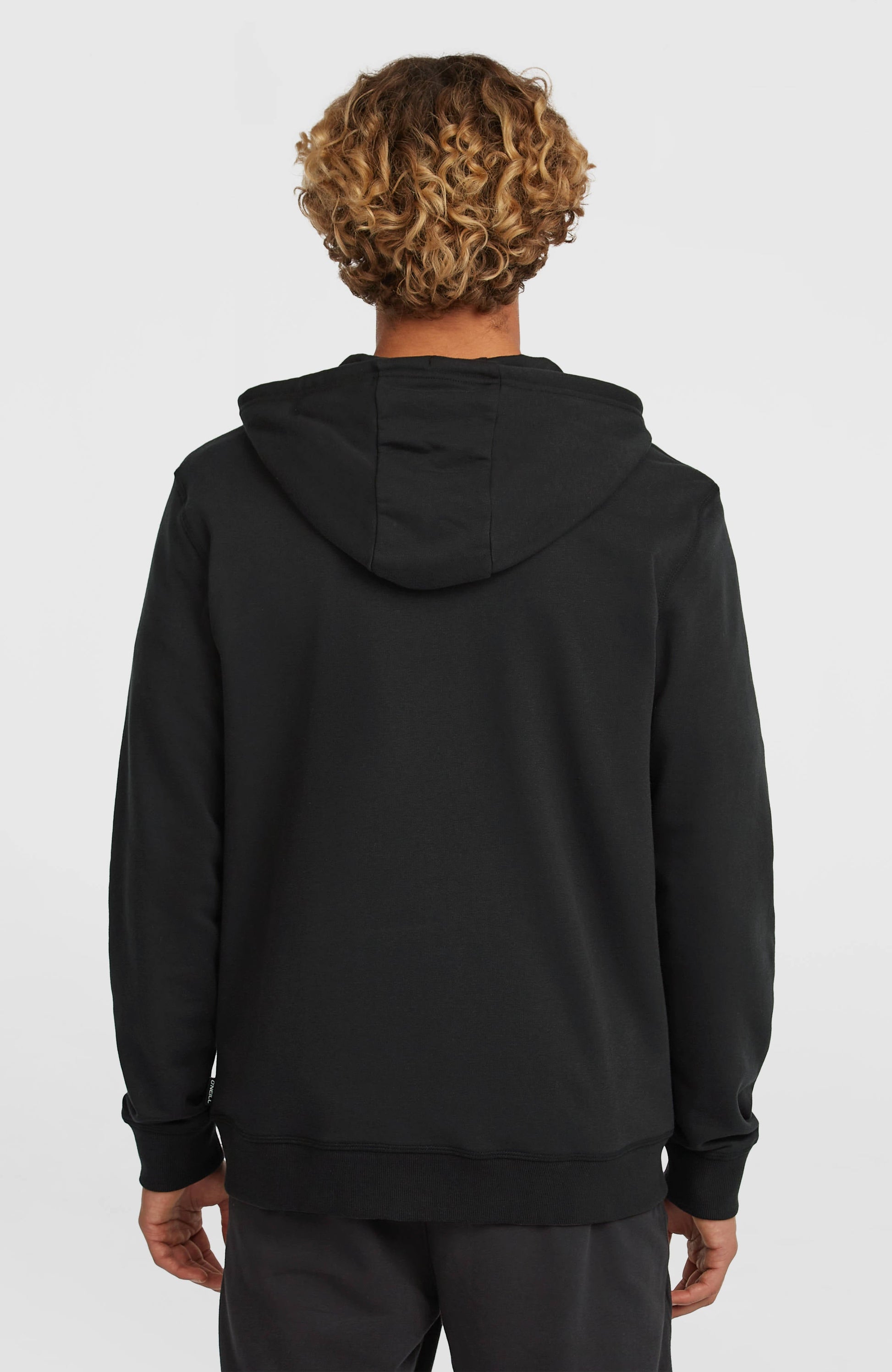 Men Small Logo Full-Zip Hoodie