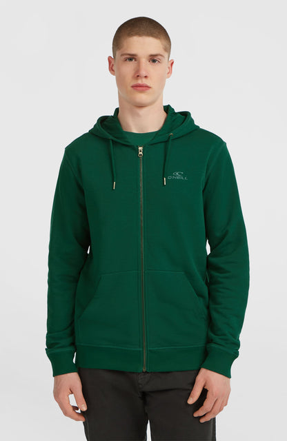 Men Small Logo Full-Zip Hoodie