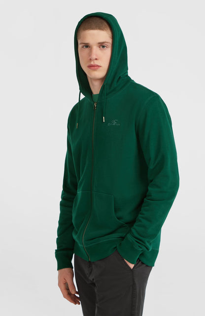 Men Small Logo Full-Zip Hoodie