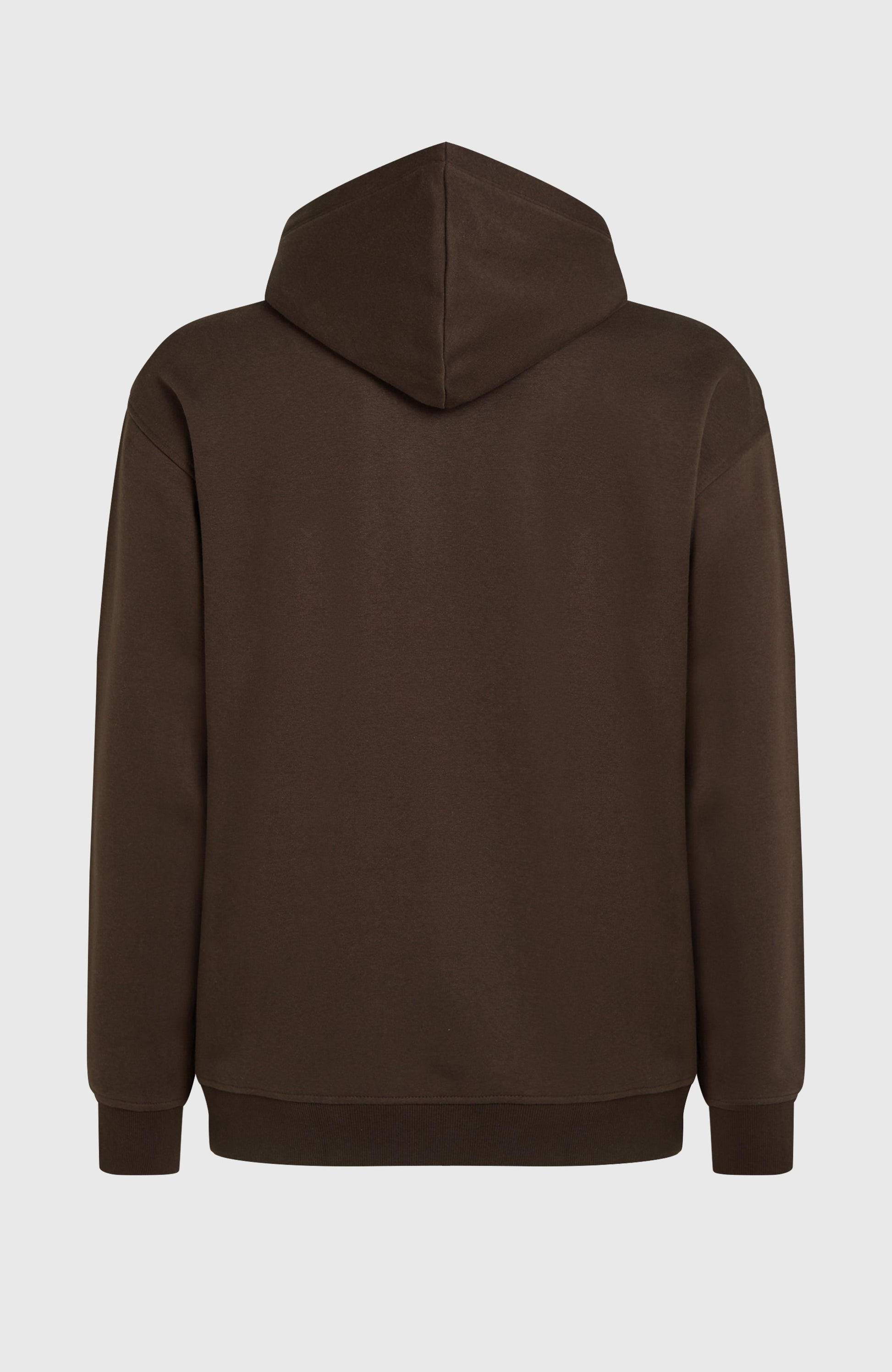 Men Future Surf Society Hoodie