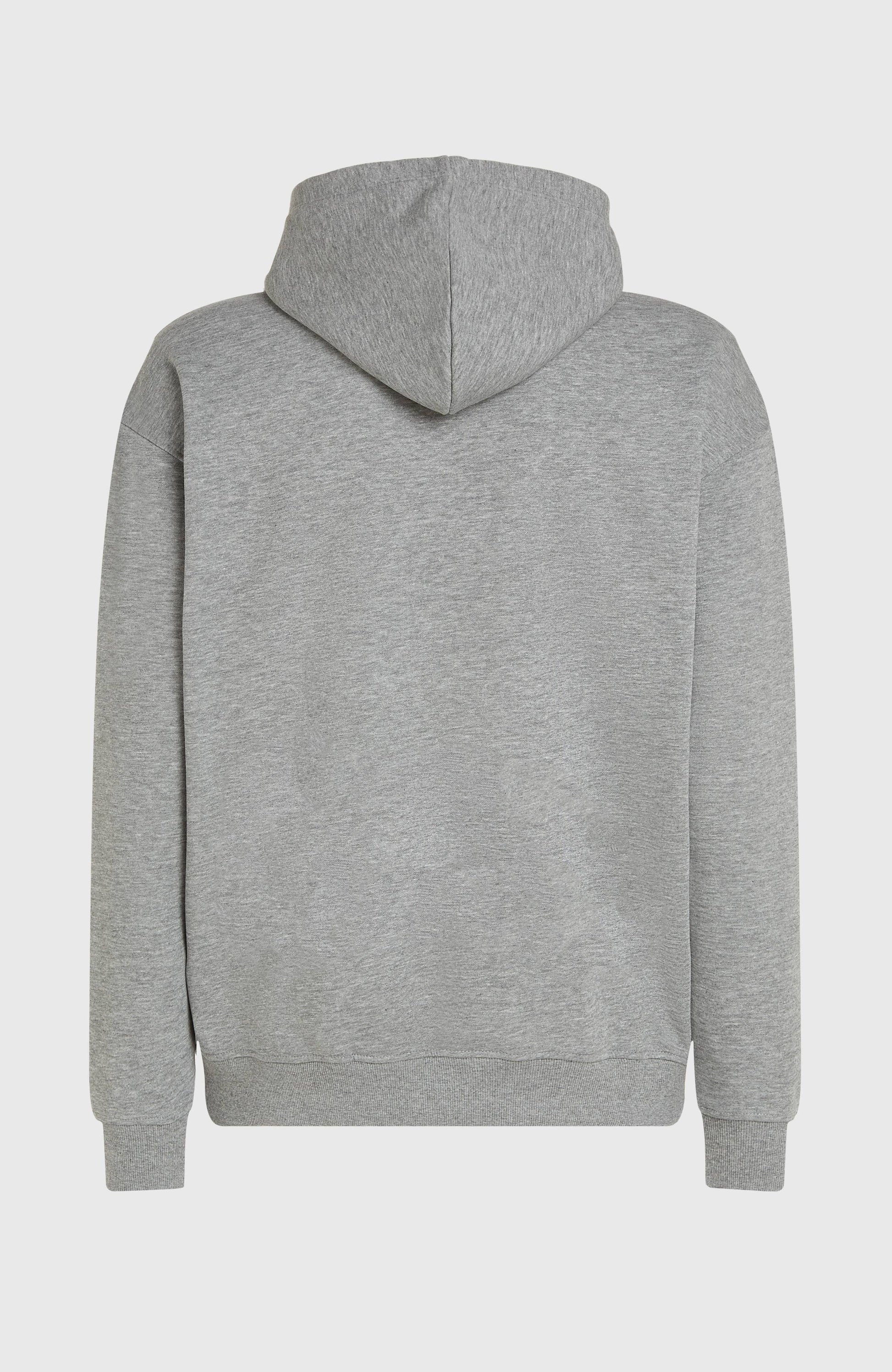 Men Future Surf Society Hoodie