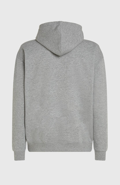 Men Future Surf Society Hoodie