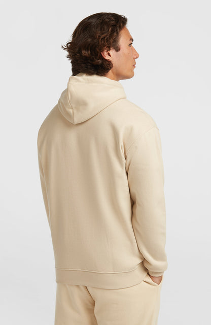 Men Future Surf Society Hoodie