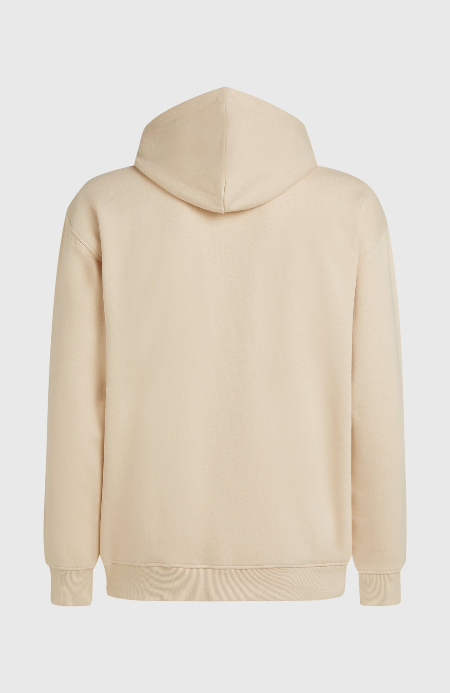 Men Future Surf Society Hoodie