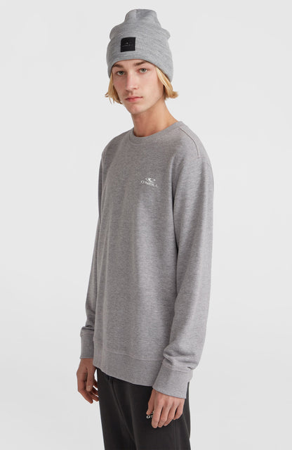 Men O'Neill Small Logo Crew Sweatshirt