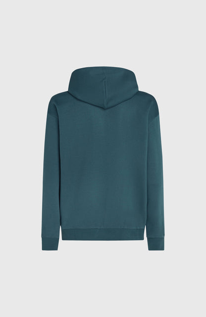 Men Future Surf Society Hoodie