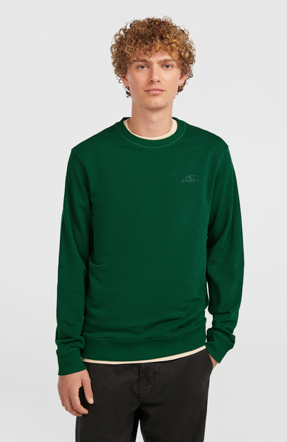 Men Small Logo Crew Sweatshirt