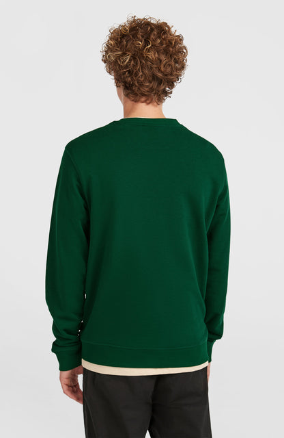 Men Small Logo Crew Sweatshirt