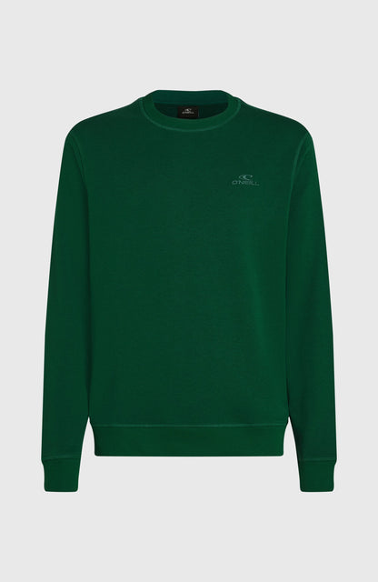 Men Small Logo Crew Sweatshirt