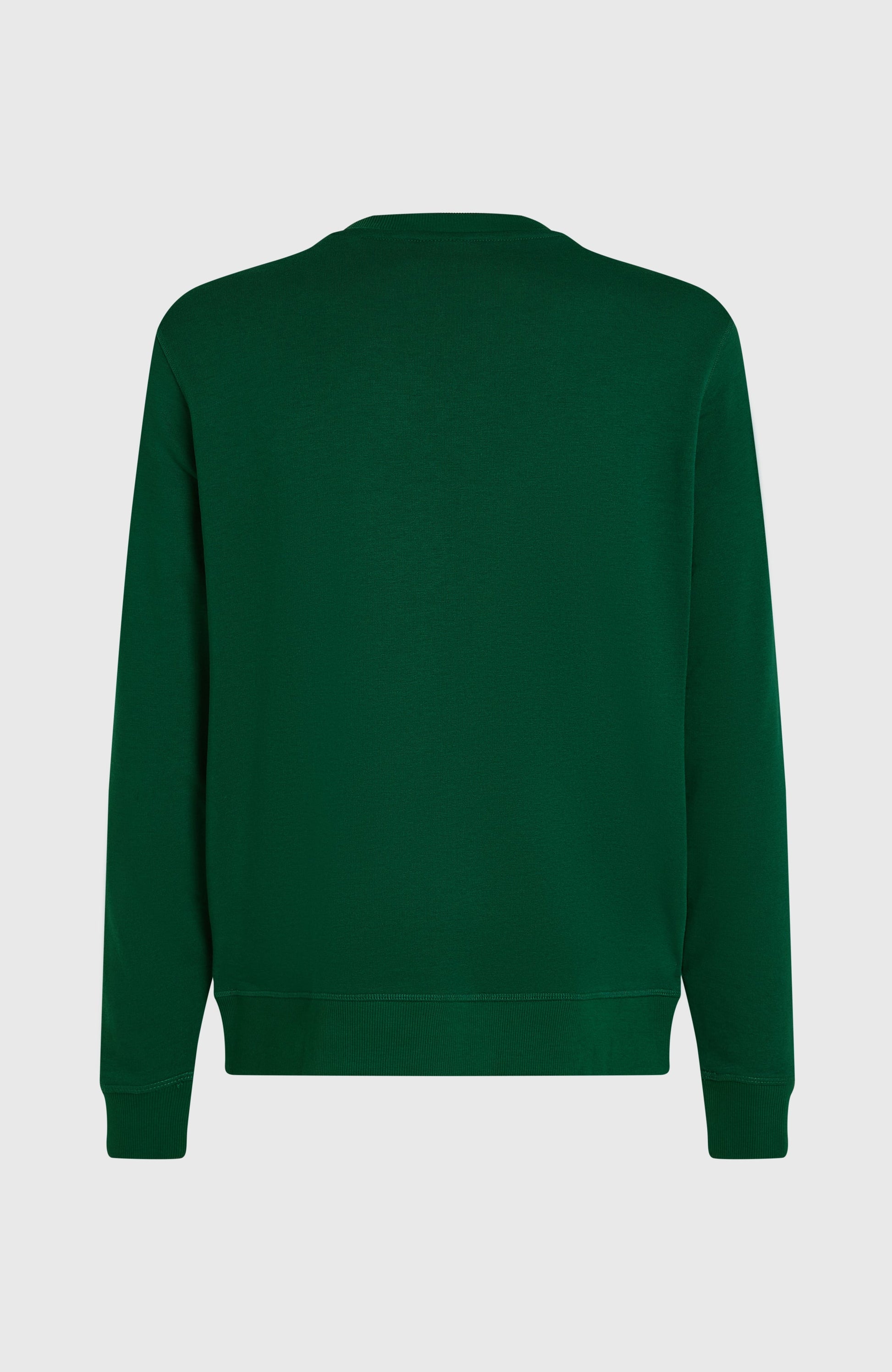 Men Small Logo Crew Sweatshirt