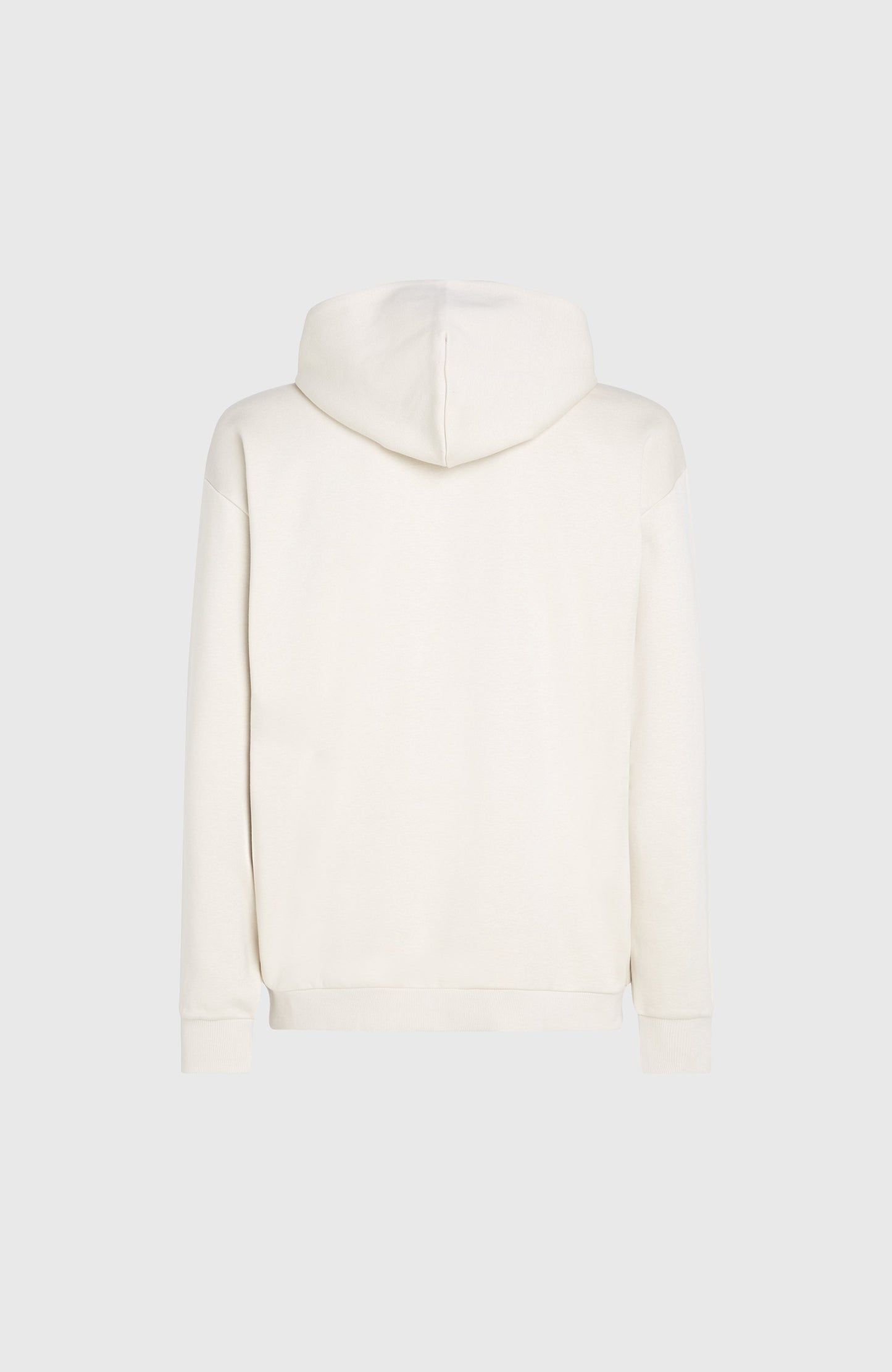 Men Future Surf Society Hoodie