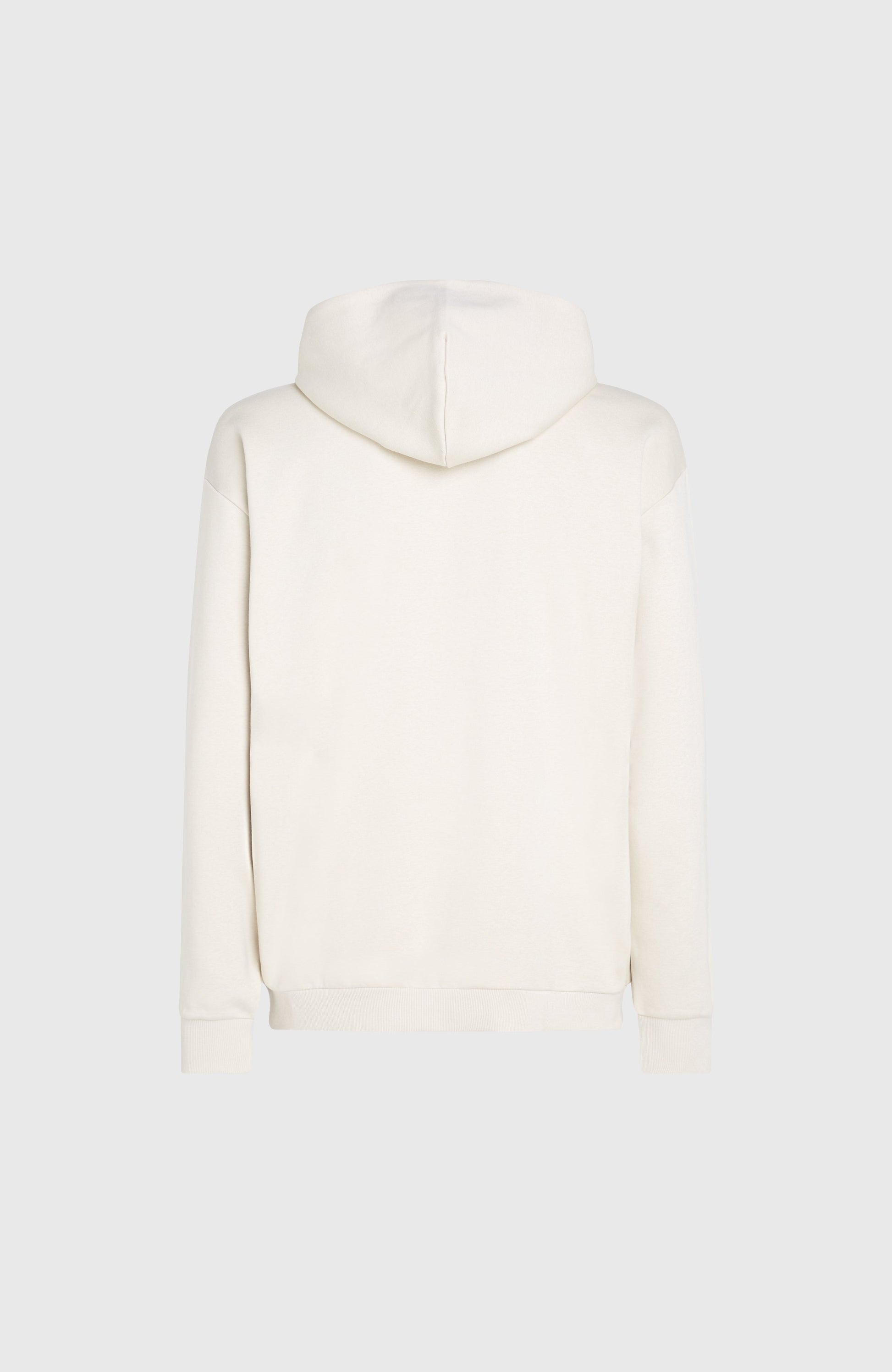 Men Future Surf Society Hoodie