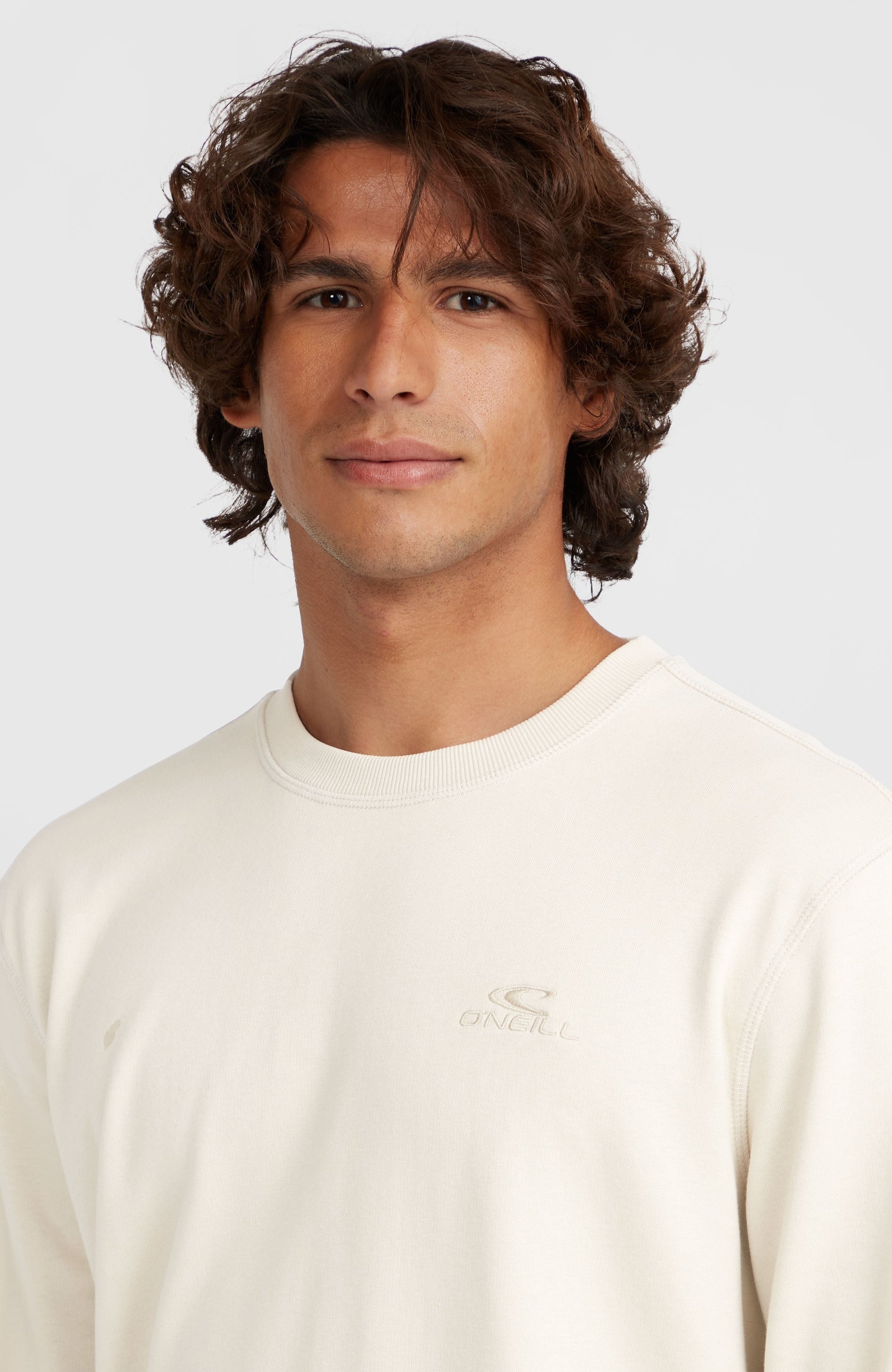 Men Small Logo Crew Sweatshirt