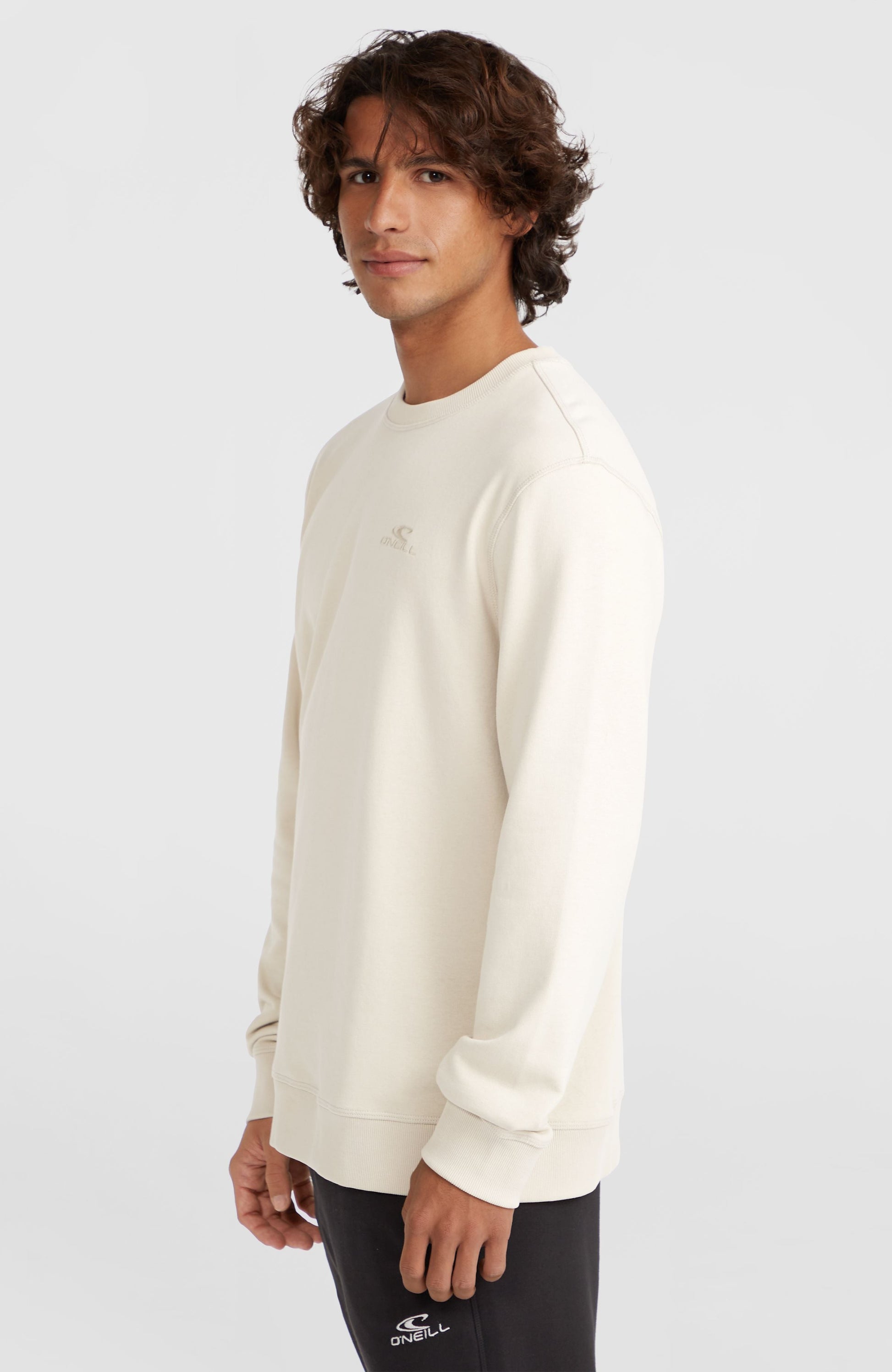 Men Small Logo Crew Sweatshirt