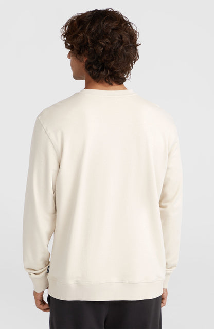 Men Small Logo Crew Sweatshirt