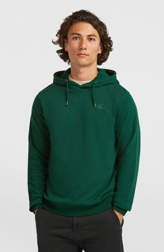 Men Small Logo Hoodie