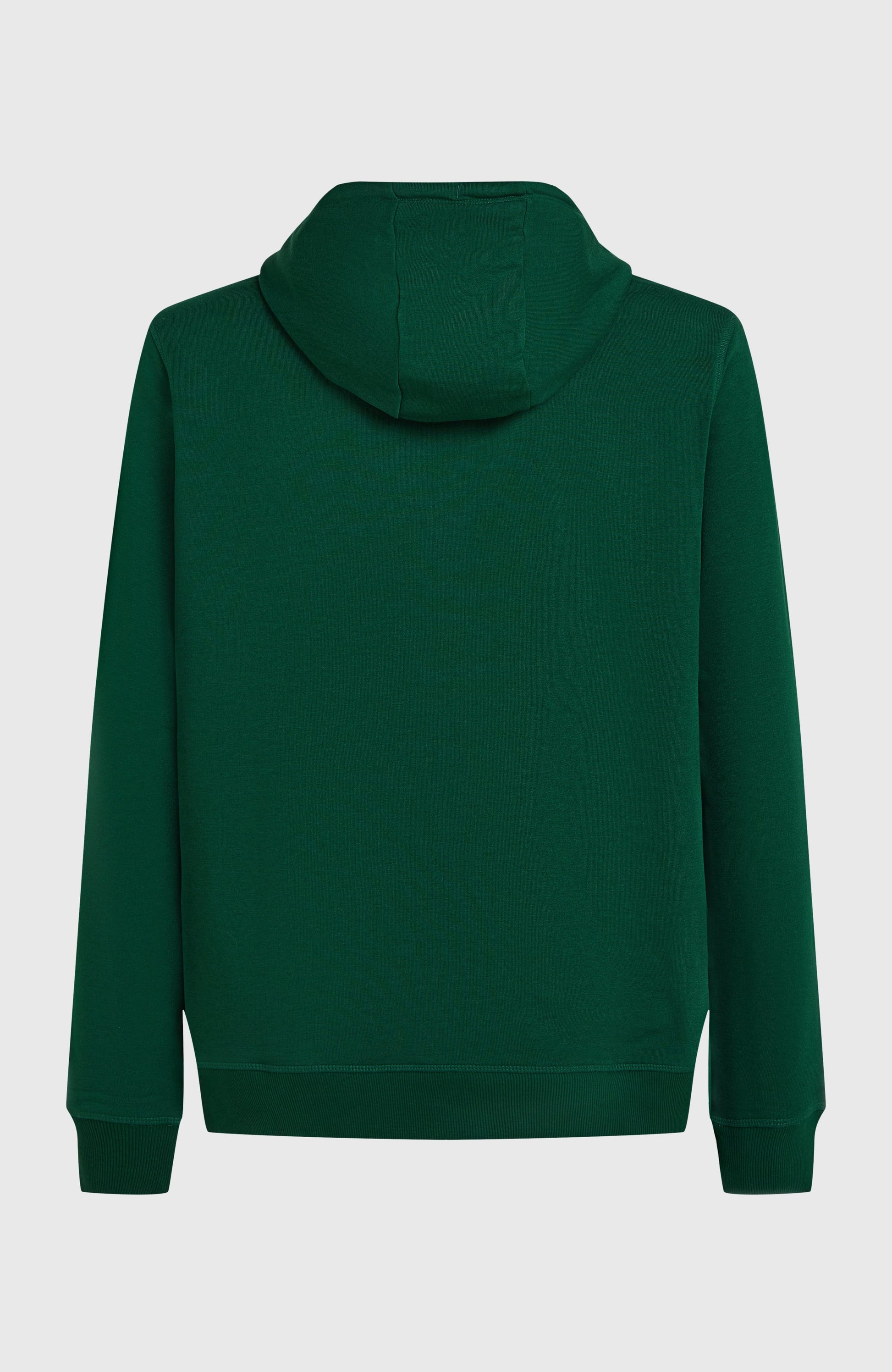 Men Small Logo Hoodie