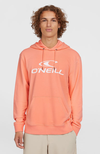 Men Logo Hoodie