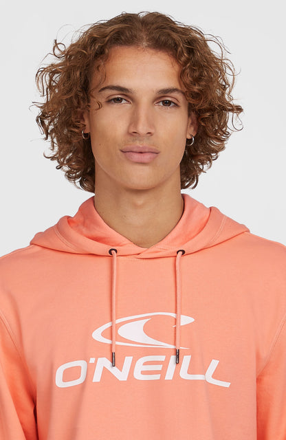 Men Logo Hoodie