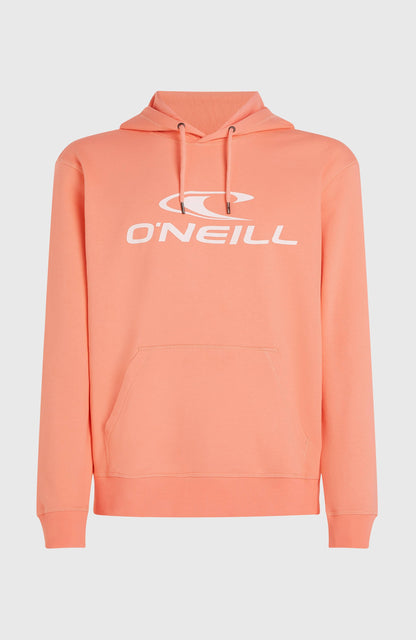 Men Logo Hoodie