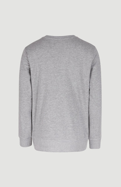 Men O'Neill Logo Crew Sweatshirt
