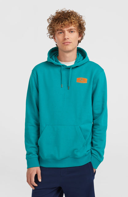 Men Graphic Hoodie