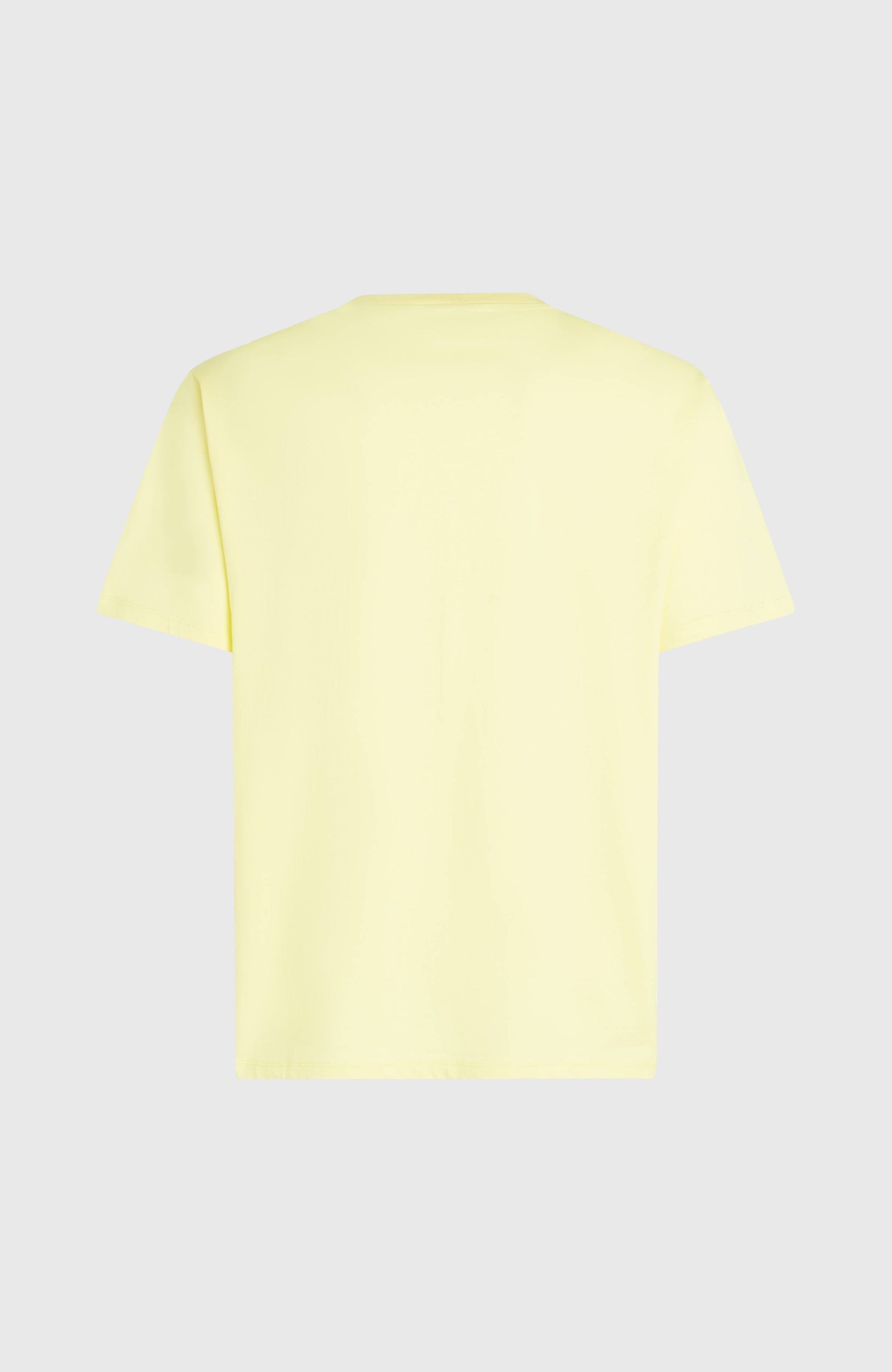 Men O'Neill Must-Have Graphic T-Shirt