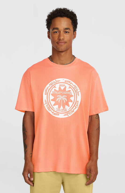 Men O'Neill Must-Have Graphic T-Shirt