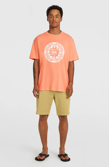 Men O'Neill Must-Have Graphic T-Shirt
