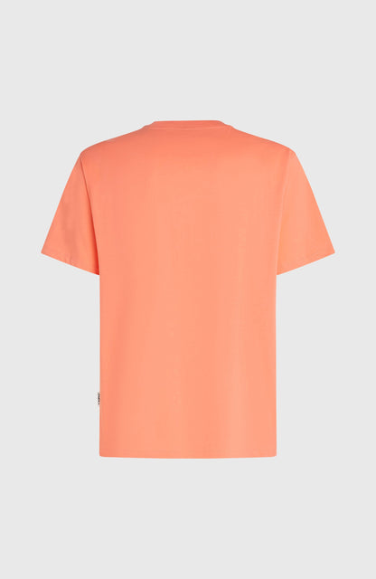 Men O'Neill Must-Have Graphic T-Shirt