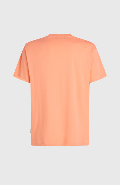 Men O'Neill Muir T-shirt