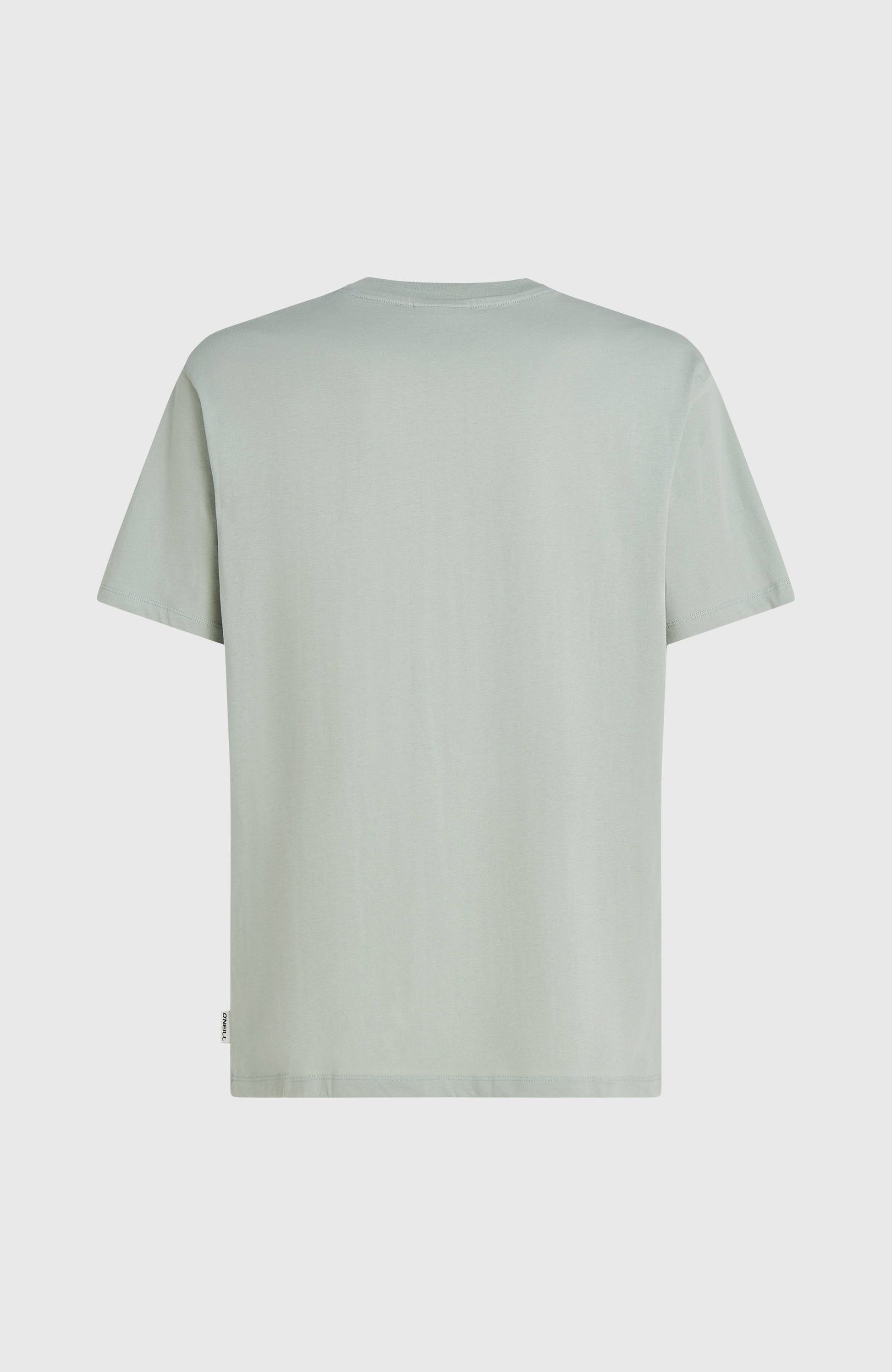 Men O’Neill Gradient T-Shirt