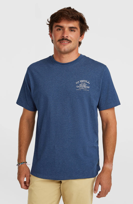 Men Melange Chest Print T-Shirt
