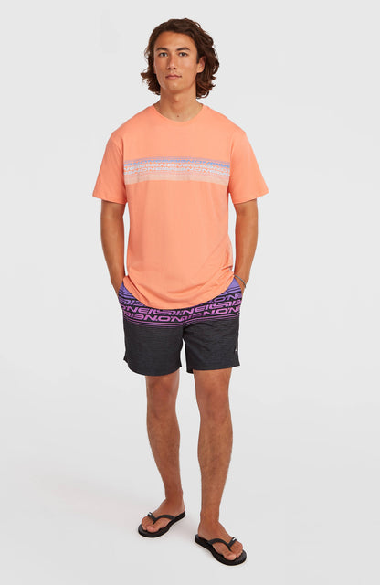 Men O’Neill Logo Stripe T-Shirt