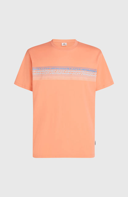 Men O’Neill Logo Stripe T-Shirt