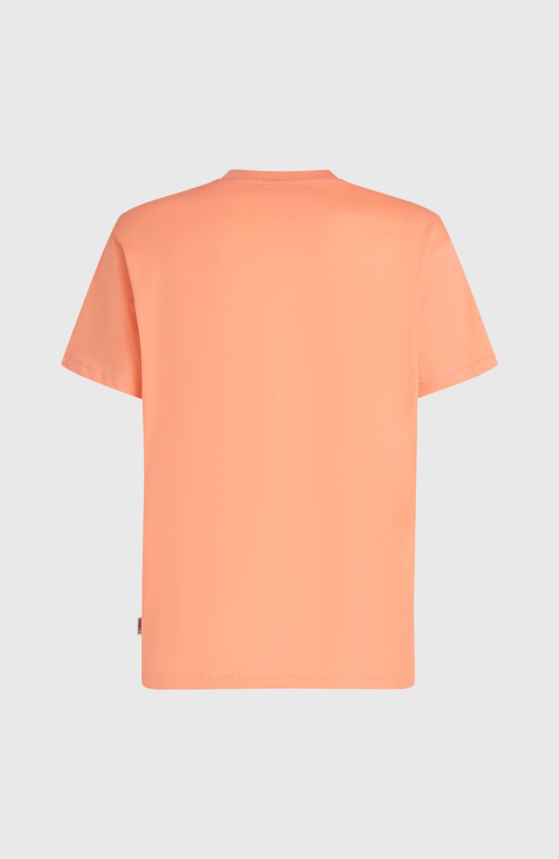 Men O’Neill Logo Stripe T-Shirt